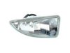 TYC 195316052 Fog Light